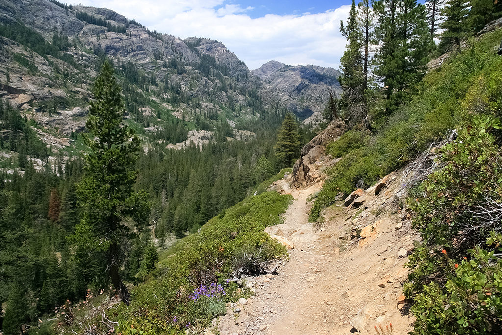 07-09 - 02.JPG - Mammoth Lakes, CA